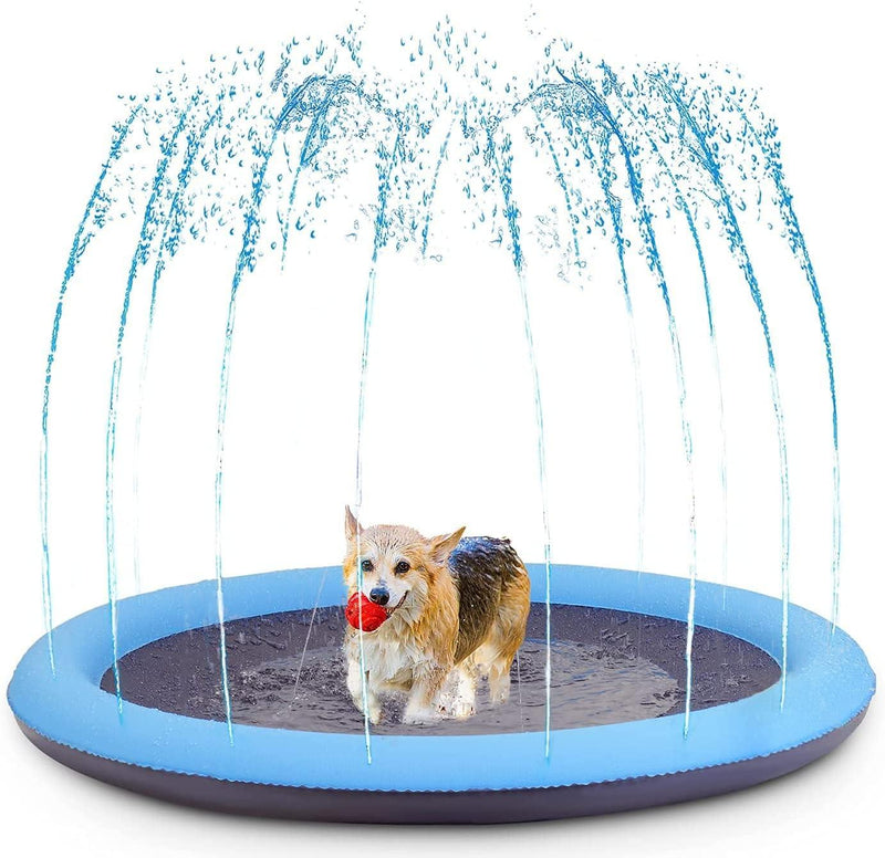 Piscina Para Pets Com Sistema de Irrigação - Cardoso Shop