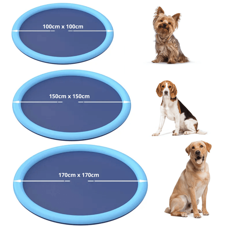 Piscina Para Pets Com Sistema de Irrigação - Cardoso Shop